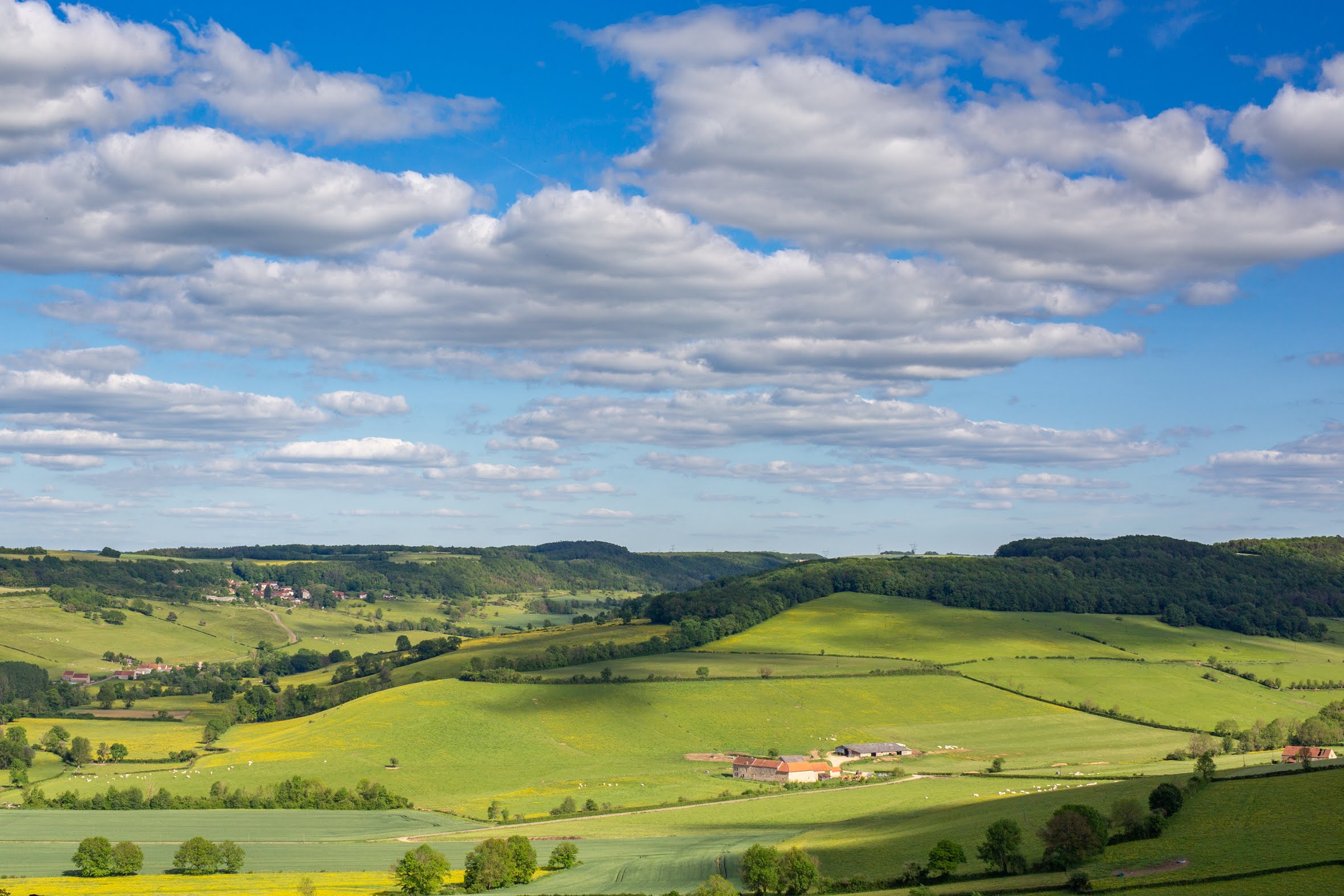 2019_05_31Stylevan à Flavigny sur Ozerien (56).jpg