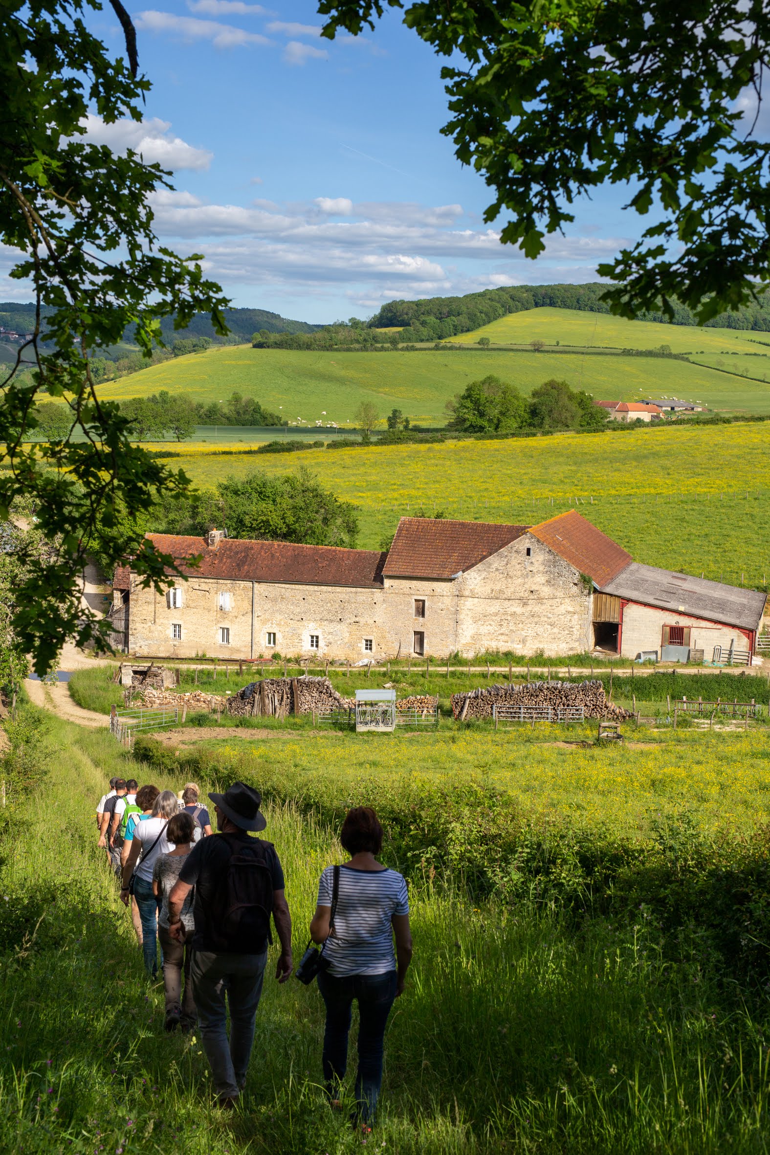 2019_05_31Stylevan à Flavigny sur Ozerien (62).jpg