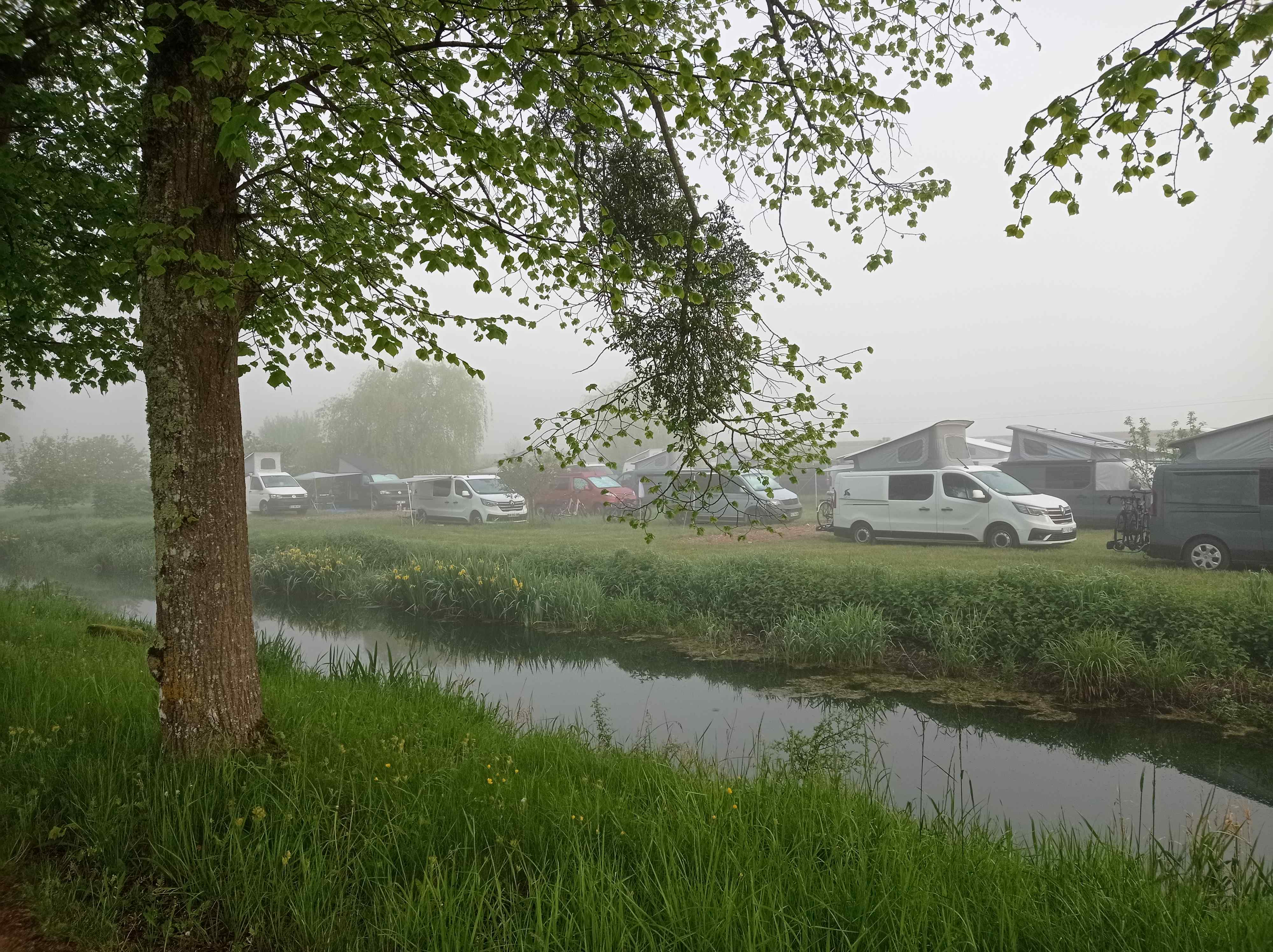 Stylevan dans le petit matin brumeux.jpg