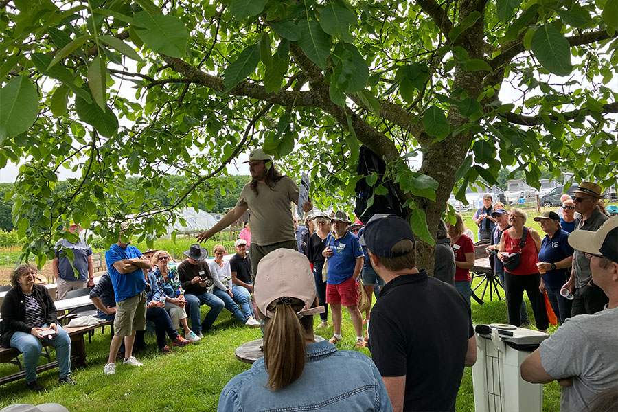 rassemblement-stylevan-92.jpg