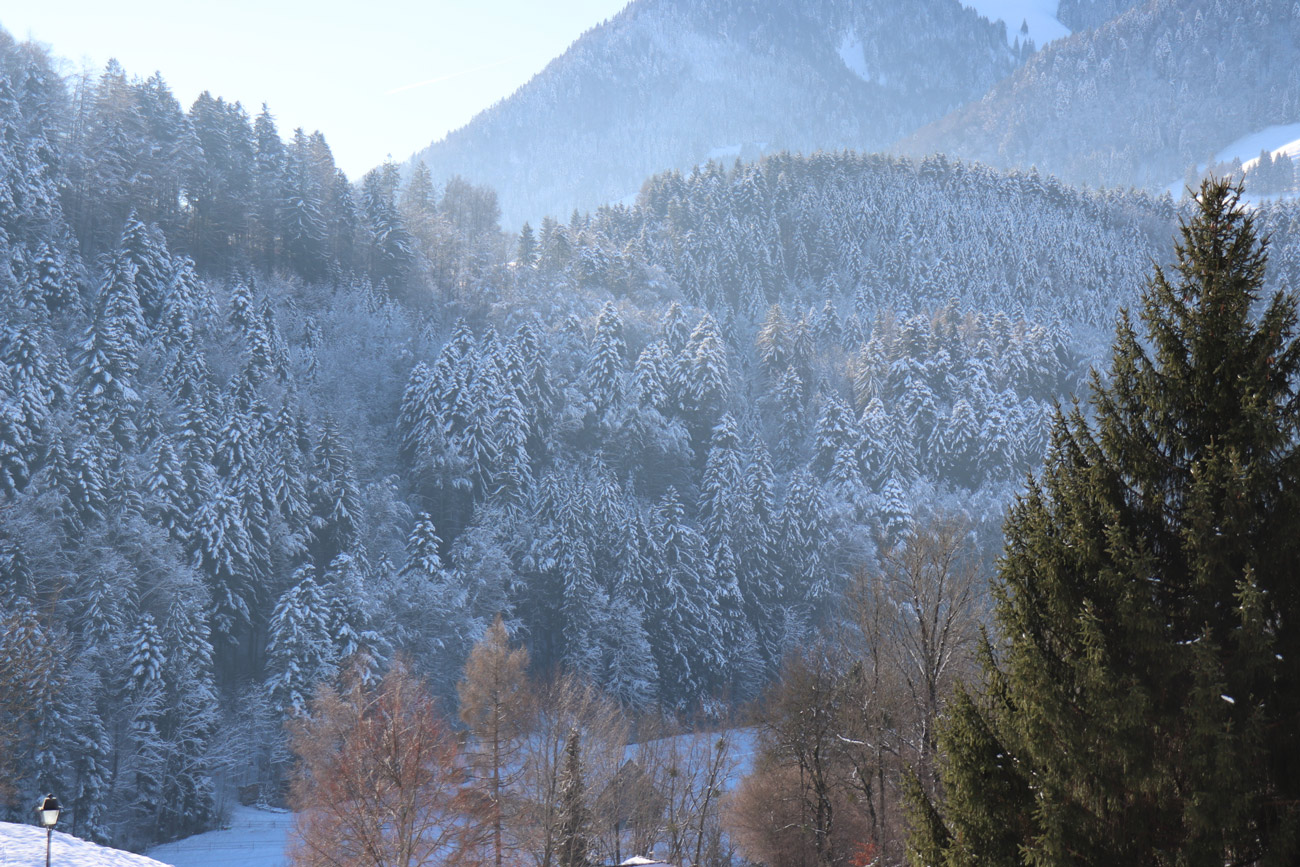 vue-interlaken-suisse-van.jpg